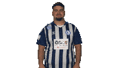 Fc Magdeburg Hello Sticker by Bundesliga