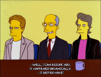 homer simpson episode 13 GIF