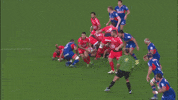hit tackle GIF by FCG Rugby