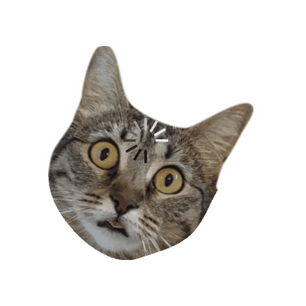 Cat Spinning Sticker