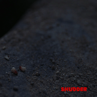 channel zero horror GIF by Shudder