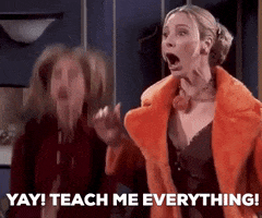 theloveliestco  GIF