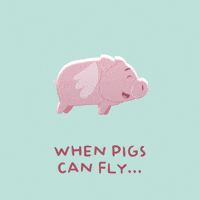 Flying Pig GIF by PositivelyPigasus