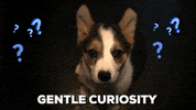 gentle curiosity GIF by Tiffany