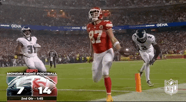 National Football League GIF by NFL