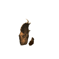 Walking With Dinosaurs Dinosaur Sticker by PBS