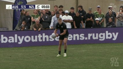 mauss2 giphyupload GIF