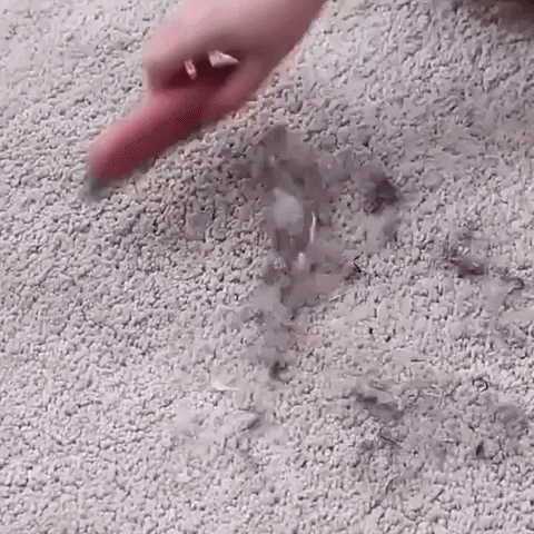 KittyNook giphyupload GIF