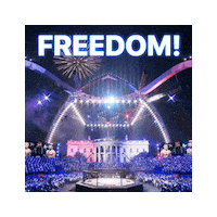 Washington Dc Freedom Sticker