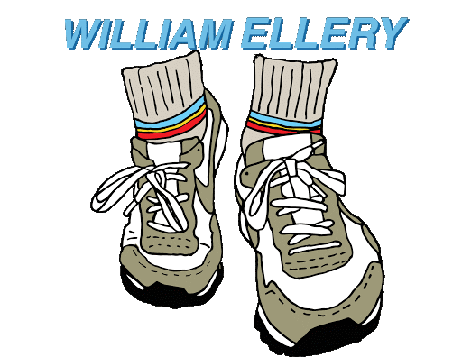 Rec Socks Sticker by William Ellery
