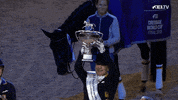 Celebrate Leading Ladies GIF by FEI Global