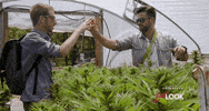 handshake johnny bananas GIF by 1st Look