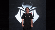 Switch Thumbs GIF by G2 Esports