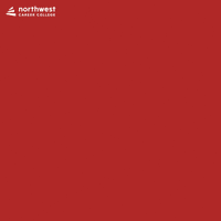 Happy Chinese New Year GIF by Northwest Career College