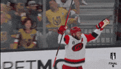 Excited Stanley Cup Playoffs GIF by NHL
