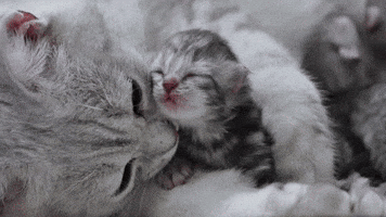 You Are Loved
