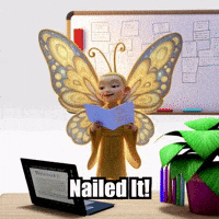 Public Speaking Classroom GIF by BuddhaFlyJourney