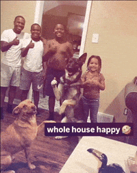 Mad Dog GIF