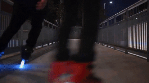 Roller Rollerblading GIF