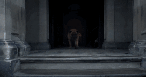Peaky Blinders GIF by Mashable