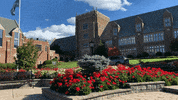 GIF by MercyhurstU