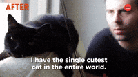The Single Cutest Cat