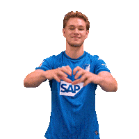 Sport Bundesliga Sticker by TSG Hoffenheim