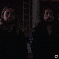 tv show wow GIF by Animal Kingdom on TNT