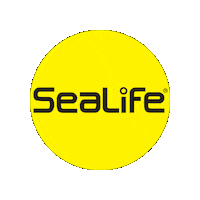 sealifecameras camera diving underwater snorkeling Sticker