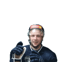 hockey dynamospb Sticker by HC Dynamo Saint Petersburg