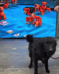 Excited Artificial Intelligence GIF by WE ARE VIDEO