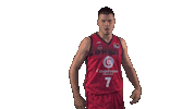 Vamos Liga Endesa Sticker by ACB