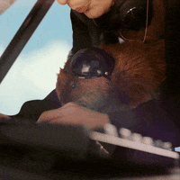 Happy Game GIF by Mixer