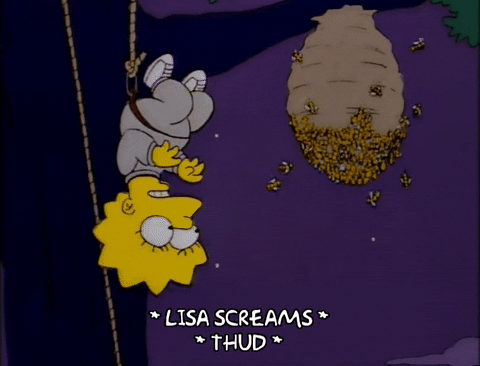 the simpsons episode 25 GIF