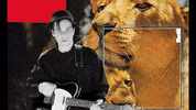 Terrier GIF by Wagram Music