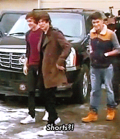 one direction winter GIF