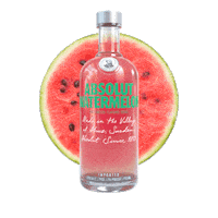 Happy Hour Summer Sticker by Absolut Vodka