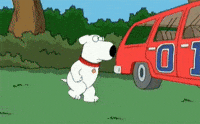 family guy brian GIF