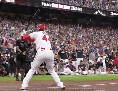 Major League Baseball Sport GIF by MLB