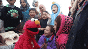 sesame street elmo GIF by MacArthur Foundation