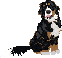 Happy Bernese Mountain Dog Sticker by Carlos Whittaker