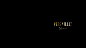 versaillesbrasil versailles versaillesbrasil GIF