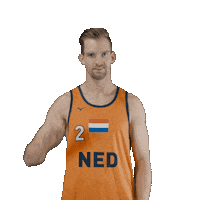Dutch Team Beach Sticker by Nevobo
