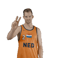 Dutch Team Beach Sticker by Nevobo