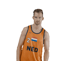 Dutch Team Beach Sticker by Nevobo