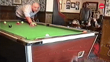 Dog Trick Shot
