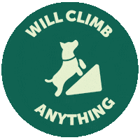 Dogsofinsta Dogmomlife Sticker by Protexin Pet
