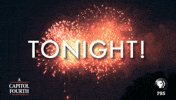 independence day fireworks GIF by PBS