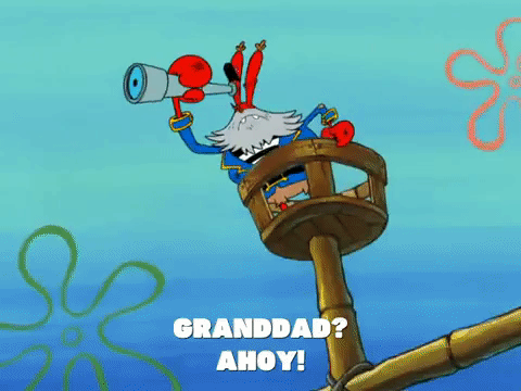 season 6 grandpappy the pirate GIF by SpongeBob SquarePants