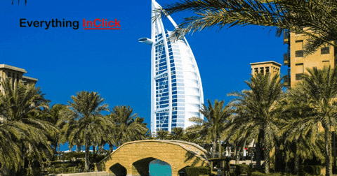 sarahcollins1 giphygifmaker giphyattribution travel everythinginclick GIF